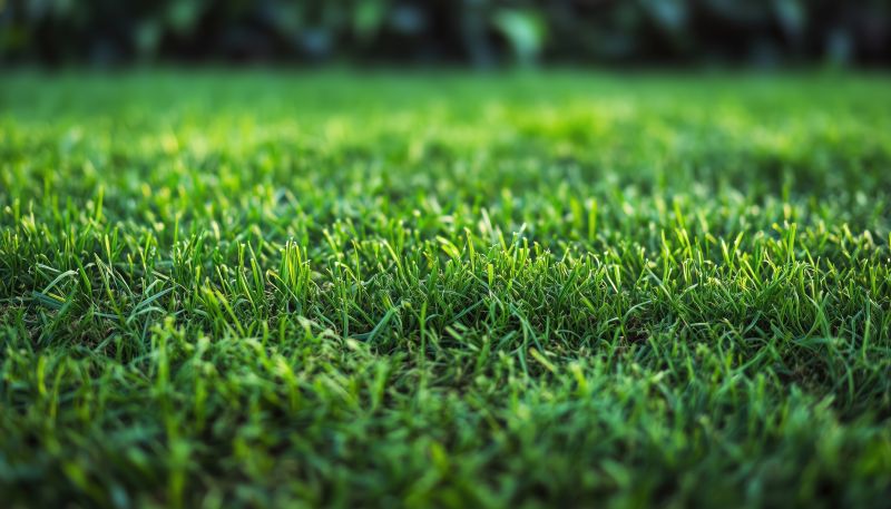 Commercial Sod Installation in Aiken, SC