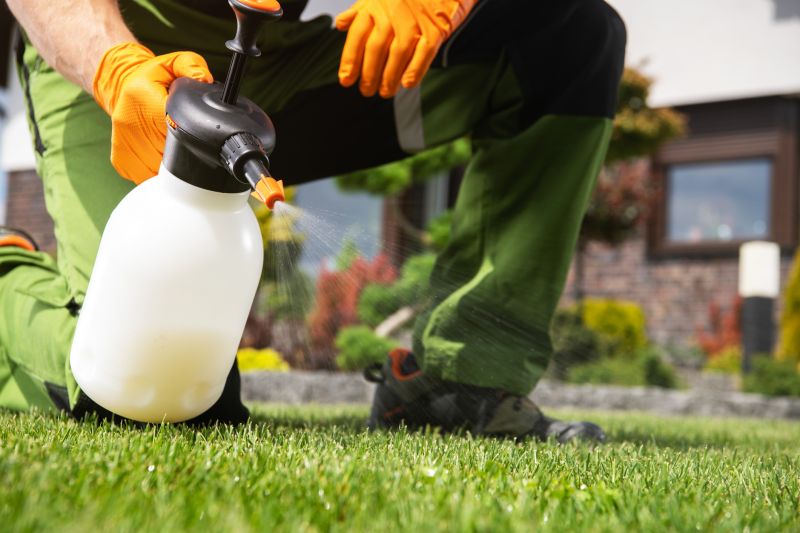 Crabgrass Removal in Aiken, SC