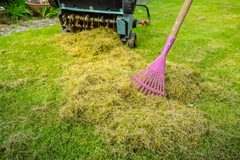 How To Tell When Your Lawn Needs Aeration