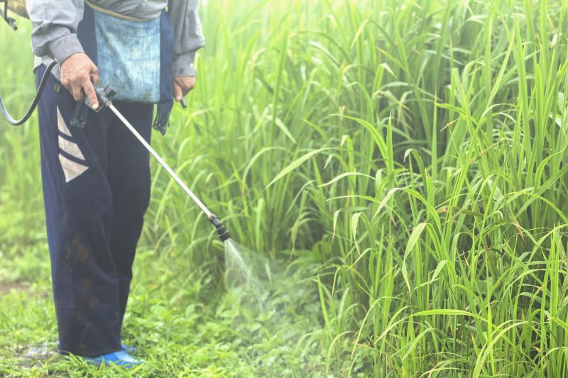 Weed Control Service in Ventura County, CA