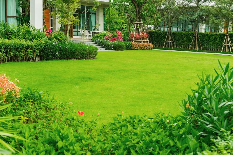 Zoysia Grass Installation in Ventura County, CA