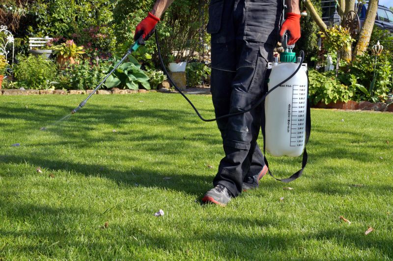 Lawn Disease Treatment in Honolulu, HI