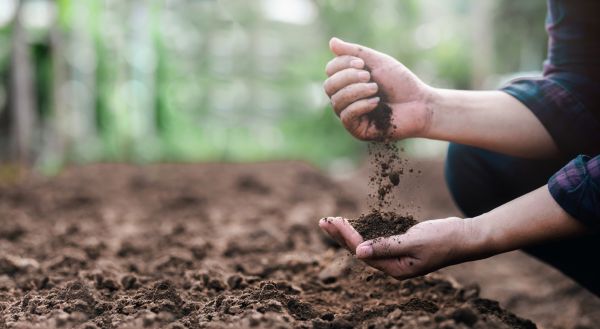 Soil Cultivation