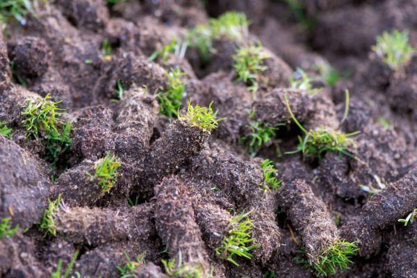 Deep Core Aeration